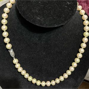 Vintage Shell Pearl Necklace with Silver Clasp.